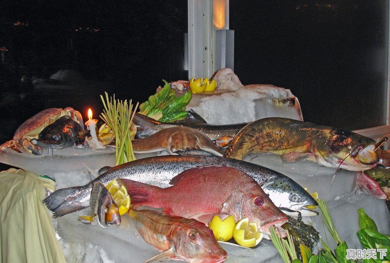 1、罗非鱼多少钱一公斤,每条在8两左右,罗非鱼价格今日北京 - 真时天下