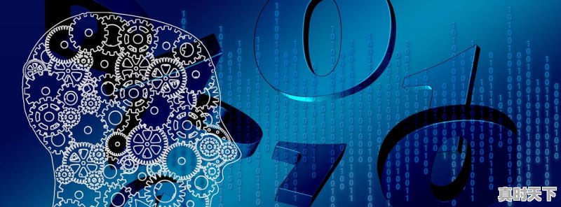 1、如何贯彻落实强化科技创新驱动,引领现代农业发展_首次提出科技创新命题是什么会议 - 真时天下