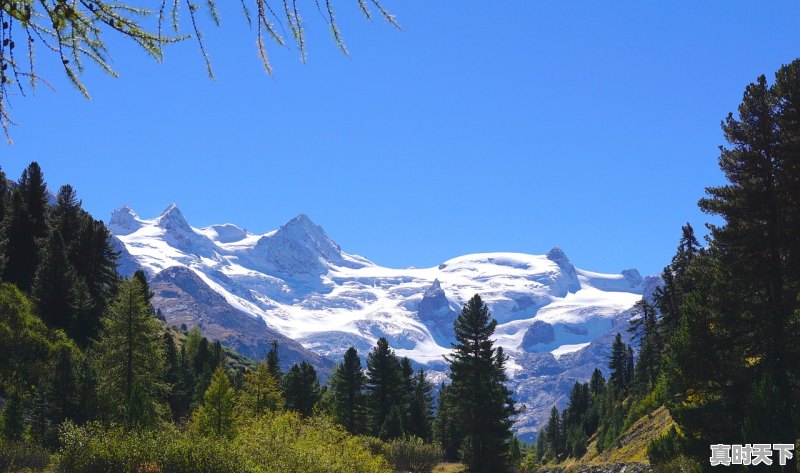 1、拉萨的气温在多少度之间,拉萨的天气怎么样 - 真时天下