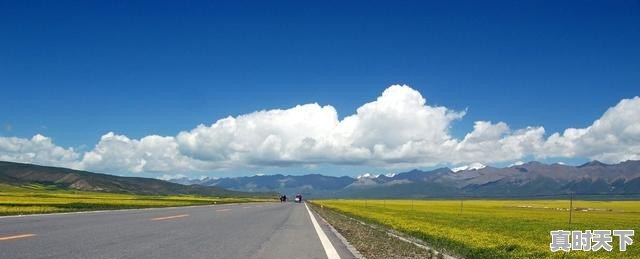 2、刚拿驾照的新手司机该如何正确上路,二手车鸣笛喇叭怎么样安装 - 真时天下