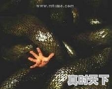 1、喜欢唱歌的小哥哥应该给他备注什么_给男孩子取名字中间带子,姓王的有什么好听的名字 - 真时天下