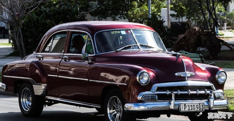 1、中日韩欧美免费好看电影推荐_观看最新电影的网站有哪些 - 真时天下