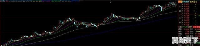 1、奥斯卡奖励标准_电影都有什么奖项 - 真时天下