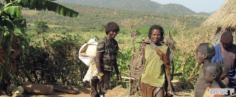 1、最新电影全部,最新电影全部 - 真时天下