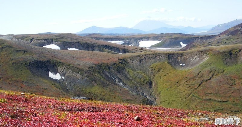 1、灵契是bg还是bl_男主是剑灵的动漫 - 真时天下