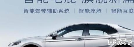 1、十亿影帝含金量排名,各大电影节影帝含金量排行榜 - 真时天下