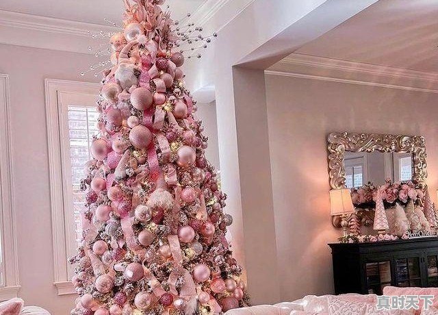 1、金门高粱酒三巨头多少钱_山西吕梁红高粱酒是真的吗 - 真时天下