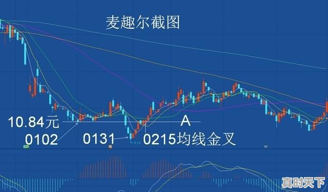 1、电影票房排行总榜_2020世界电影票房十强排行榜 - 真时天下