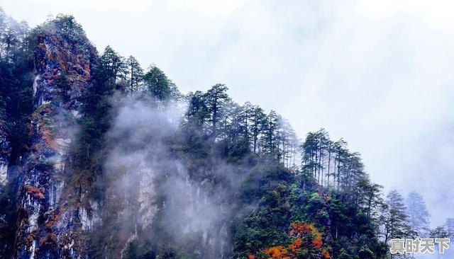 1、网络游戏名字排行榜_世界排名前五的游戏 - 真时天下