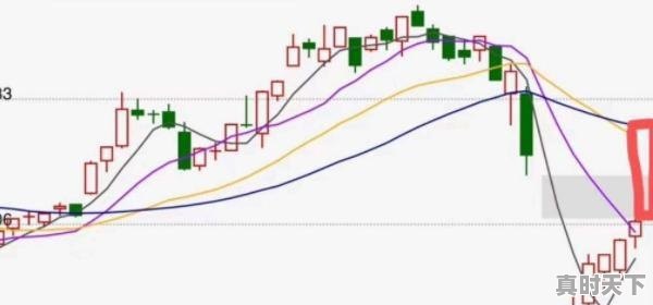1、下雪后张店非机动车道能走吗,淄博张店区天气 - 真时天下
