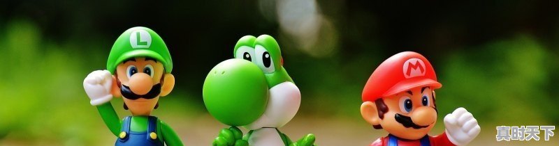 1、怎样申购北交所的股票,北交所股票申购规则 - 真时天下