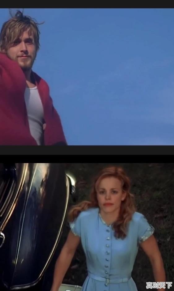 5、有什么好的电影好看啊，最新电影评分豆瓣排行 - 真时天下