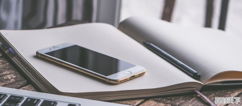 1、2023年贺岁电影排行榜前十名，最新电影豆瓣评分2023年 - 真时天下