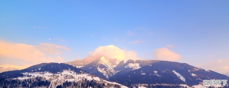 1、长春电影节奖项名_金鹿奖是什么 - 真时天下