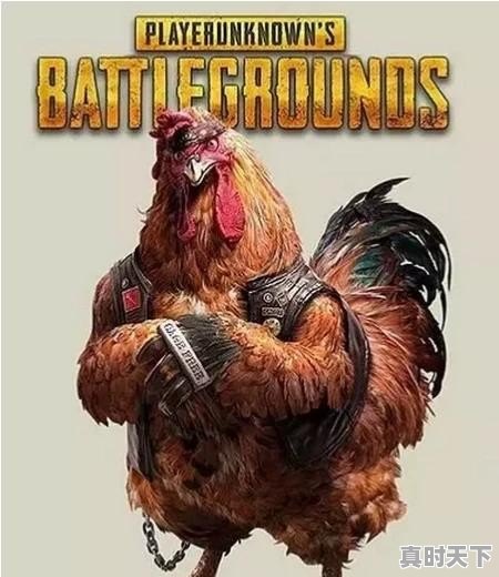 5、2022好玩的网游排名前十名_最多人玩的手游是哪个呀 - 真时天下