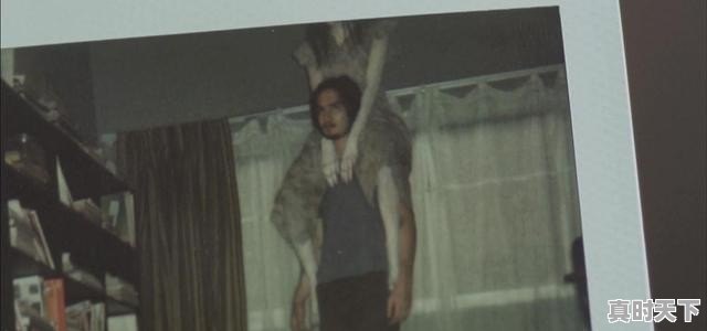 4、好看的恐怖电影有哪些,最新电影 恐怖片有哪些名字 - 真时天下