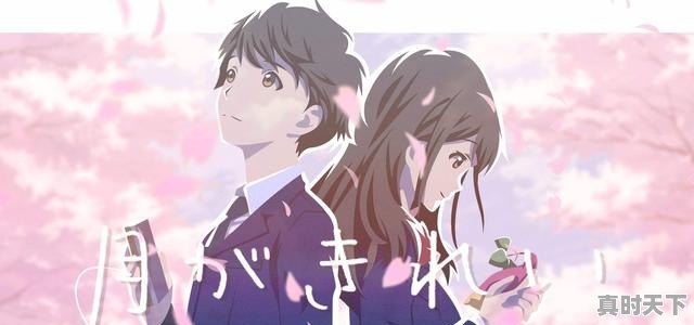 20、二次元动漫推荐恋爱搞笑女生,二次元动漫推荐恋爱搞笑女生 - 真时天下