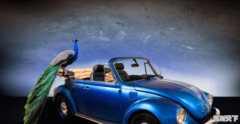 1、大众官方认证二手车靠谱吗_上汽阿里斑马操作系统激活流程 - 真时天下