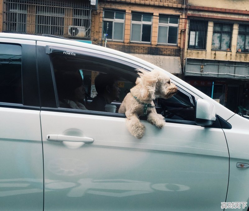 1、河北沧州10号至20号有雨吗_沧州几号有中雨 - 真时天下