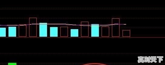 1、艾佳妮哪里人,第八届温哥华华语电影节颁奖典礼 - 真时天下