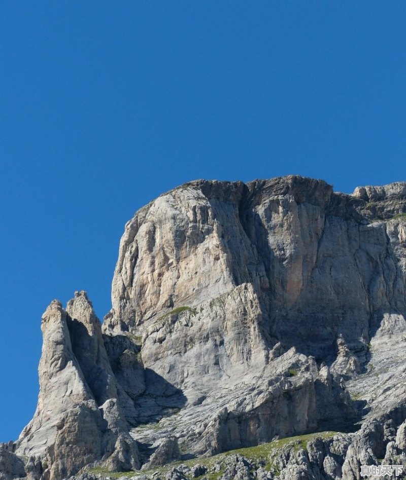 1、2020威尼斯电影节获奖名单_2021三大国际电影节获奖影片 - 真时天下