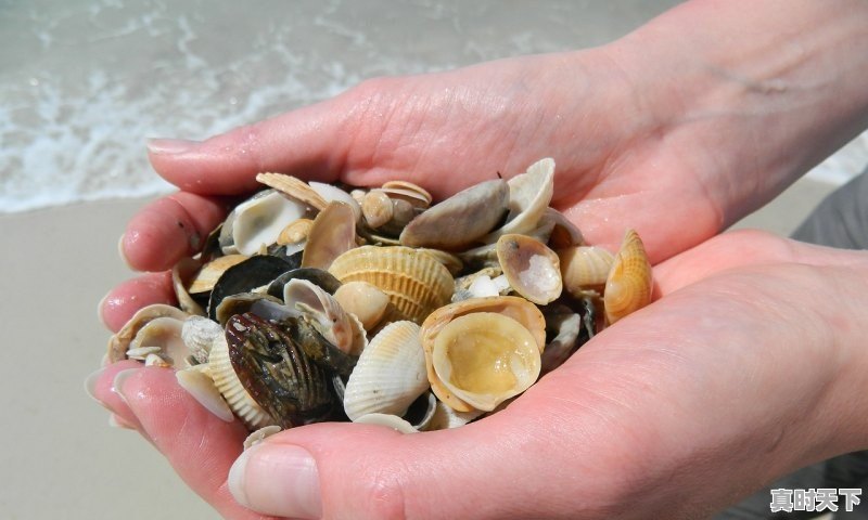 1、第49届威尼斯国际电影节获奖名单，威尼斯电影节获奖作品名单 - 真时天下