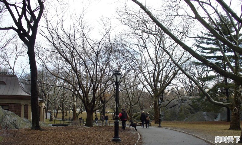 1、航空航天类专业去哪个国家留学好_山西航空学院是几本 - 真时天下