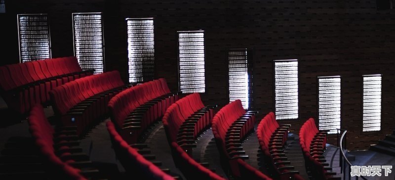 1、2022贺岁片电影排行,中国2022最新电影大片推荐 - 真时天下