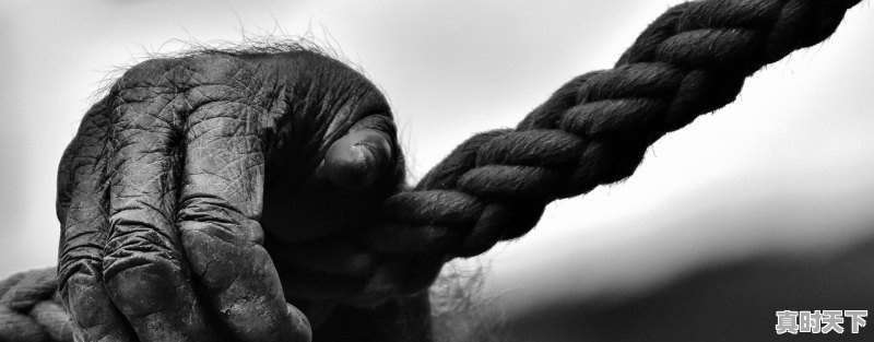 1、创新是以什么为核心的全面创新_我国为什么要提高科技创新能力 - 真时天下