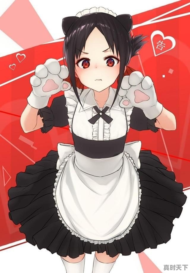 1、北京的公交车是什么收费标准_北京菜价格今日价格 - 真时天下