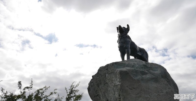 1、为什么技术创新是社会最重要的推动力_高新技术企业和科技创新企业区别 - 真时天下