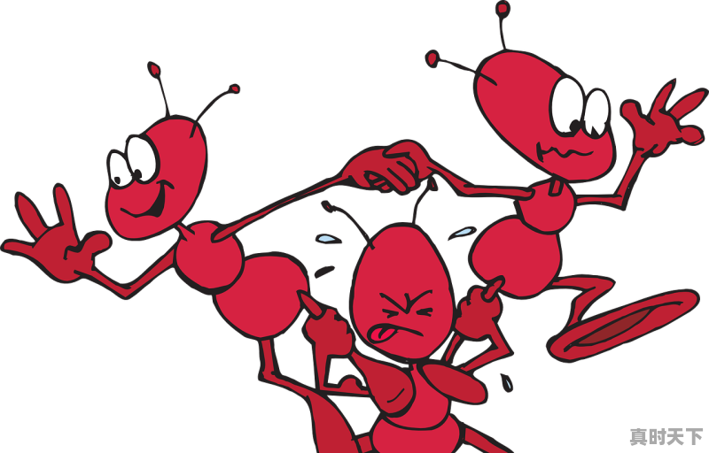 1、十部笑到吐血的国产动漫_求推荐几部好看的动漫。后宫、搞笑、为先。有超能力的也可以。画工要好点的就好了 - 真时天下