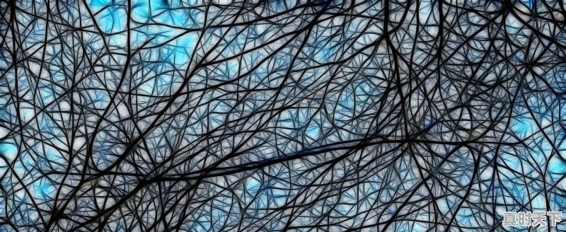 1、北京历年高温天气天数_北京闷热天什么时候结束 - 真时天下