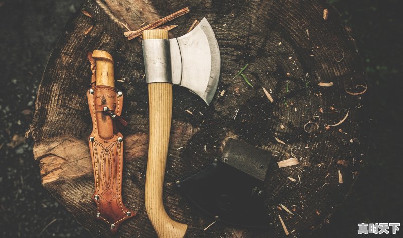 1、2021最火的十部动漫电影,中国热门动漫推荐电影排行榜 - 真时天下