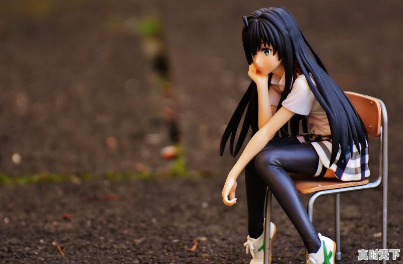 1、入动漫坑应从哪里开始看,在哪里可以看到动漫推荐 - 真时天下