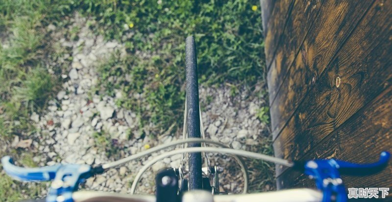 1、南阳今天废铁最新行情,砂糖橘今日价格南阳 - 真时天下