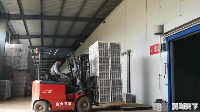 1、男主高冷女主是妖的动漫,动漫推荐男主超强的国漫有哪些电影名字大全女主 - 真时天下