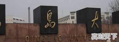 1、理想l9汽车二手保修不,理想无事故二手车报价 - 真时天下