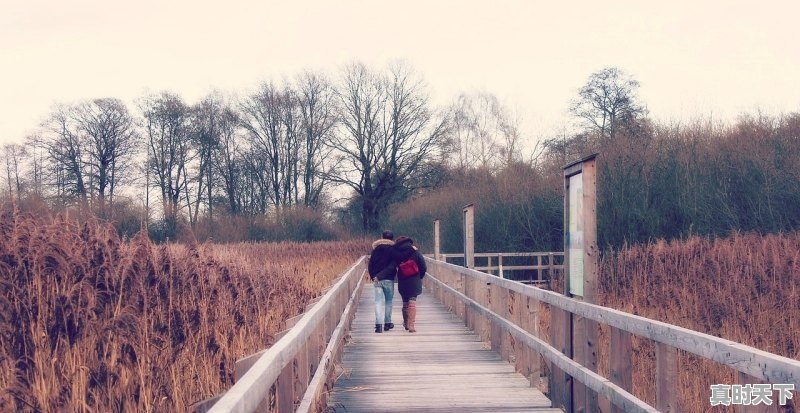 1、动漫男生名字帅气冷漠三个字_动漫男主名字霸气古风 - 真时天下