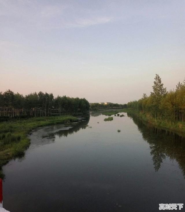 1、推荐几部男主很强大的比较冷门的但一定要热血，有战斗的动漫,日常冷门动漫推荐排行榜最新 - 真时天下