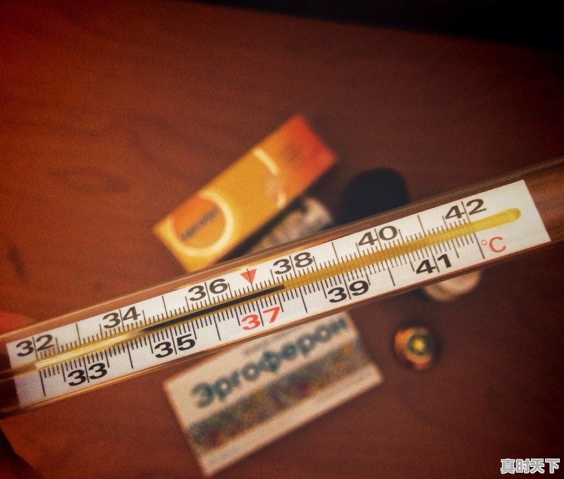 1、国际电影奖项含金量排名_国内电影节含金量排名 - 真时天下