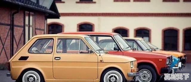 2、二手皮卡买什么样的好,二手车乘用版皮卡能买吗 - 真时天下