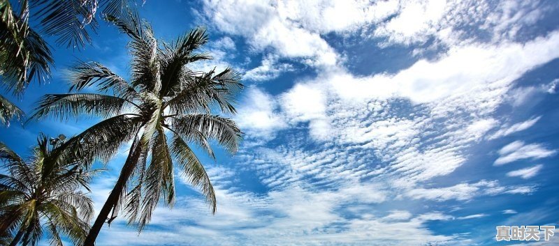 1、长藤密室影怨是哪个电影,泰国胖子鬼片最新电影名字 - 真时天下