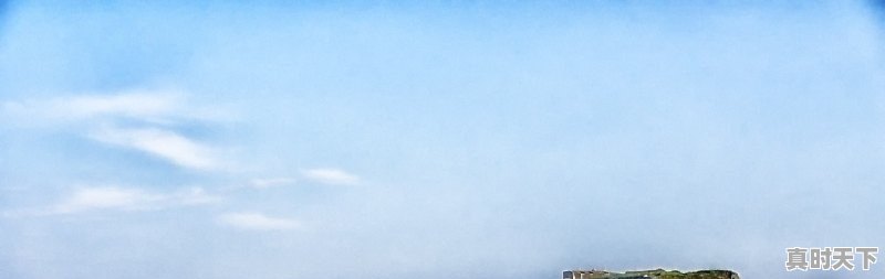 1、10年的雨燕还能购买吗_10年的雨燕值多少 - 真时天下