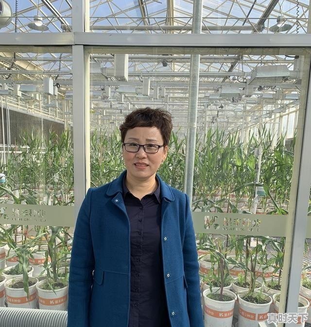 1、刘公岛第一班船要几点到,北陡天气 - 真时天下