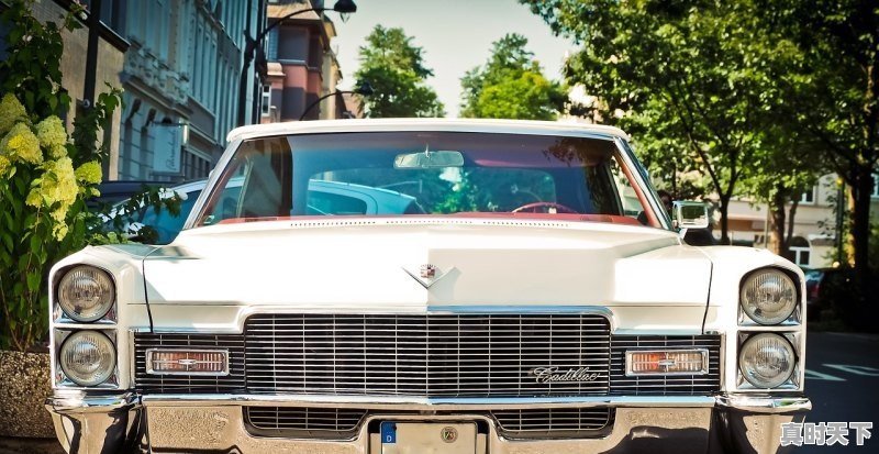 1、2022年新年上映的电影_lucy hale演过的电影 - 真时天下