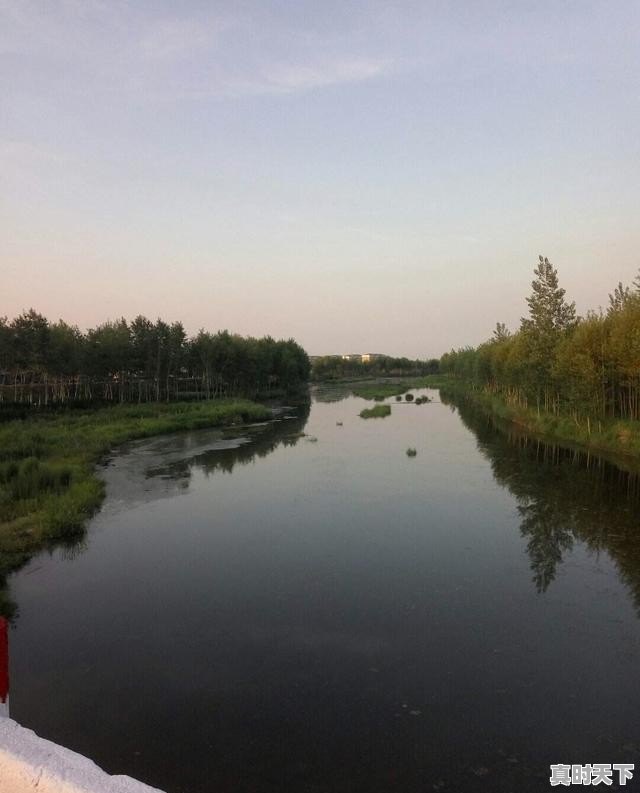 3、蛋鸡鸡冠发紫不吃食得的什么病_公鸡的鸡冠特别大是什么原因 - 真时天下