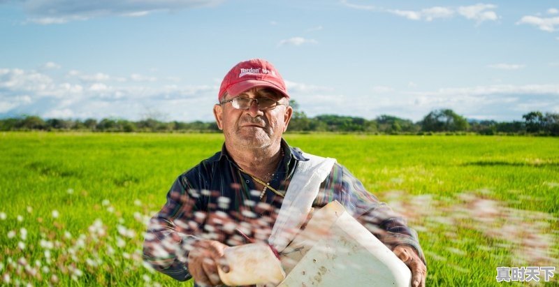 1、刘德华2023即将上映的十大电影,刘徳华最新电影有哪些电视剧 - 真时天下