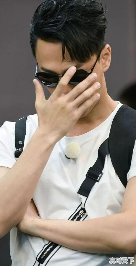 天津家爱格鸡蛋哪儿卖,今日天津鸡旦价格 - 真时天下