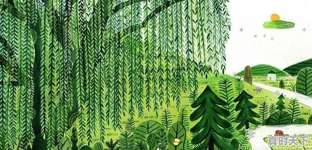 1、刘德华交换人生的电影叫什么,刘德华万茜最新电影mv - 真时天下